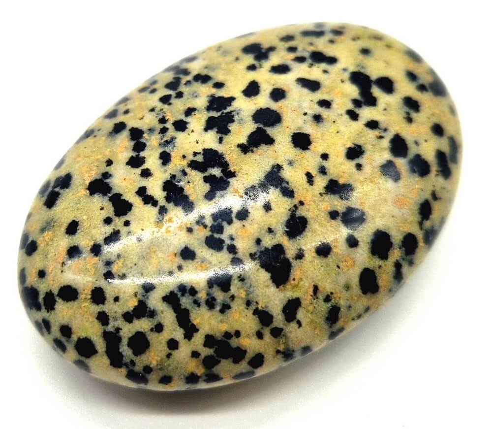 Galet Roulé XL Jaspe Dalmatien 6cm