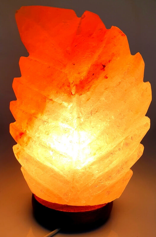 Lampe de Sel Feuille 3KG