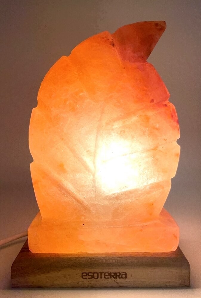Lampe de Sel Himalaya Feuille 3.5KG