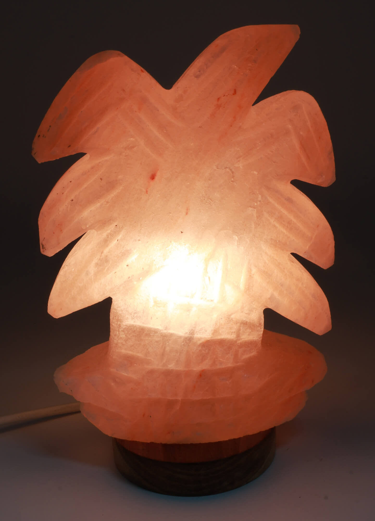 Lampe de Sel Himalaya Palmier 4KG
