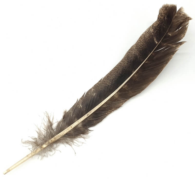 Authentique Plume de Fumigation 30cm