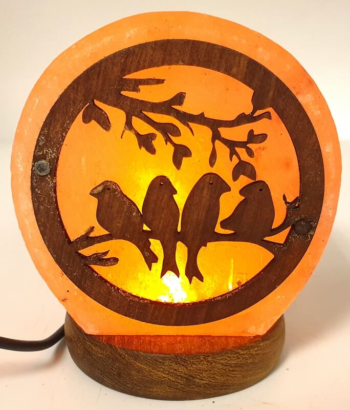 Lampe de Sel USB Oiseaux 1KG