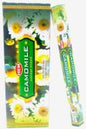 Encens HEM Camomille 20g