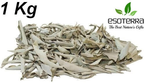 Sauge Blanche Californie ESOTERRA Feuilles 1KG