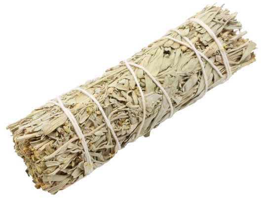Sauge Bleue Californie Fagot 30g