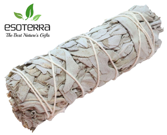 Sauge Blanche Apiana Californie Fagot 11cm 25-35g